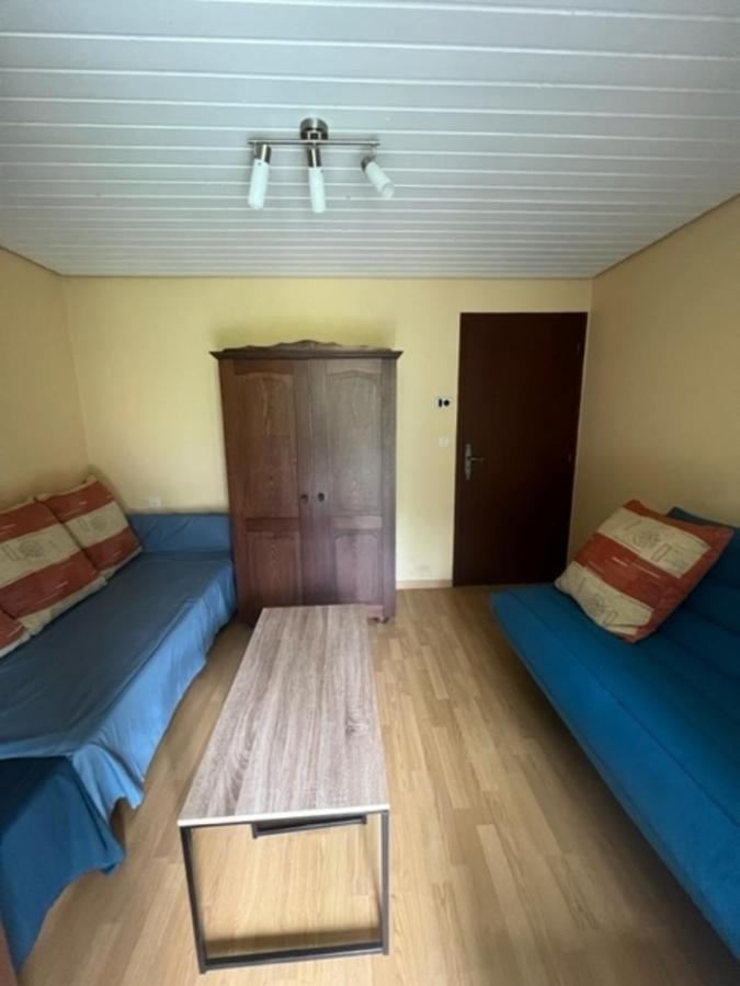 Bas De Villa En Face Du Lac De סבינס מראה חיצוני תמונה