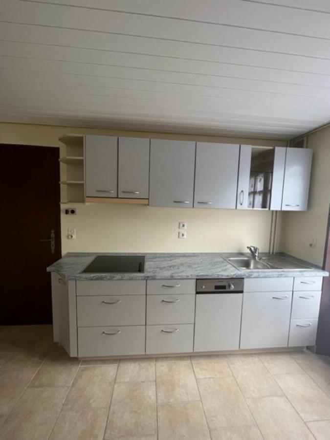 Bas De Villa En Face Du Lac De סבינס מראה חיצוני תמונה